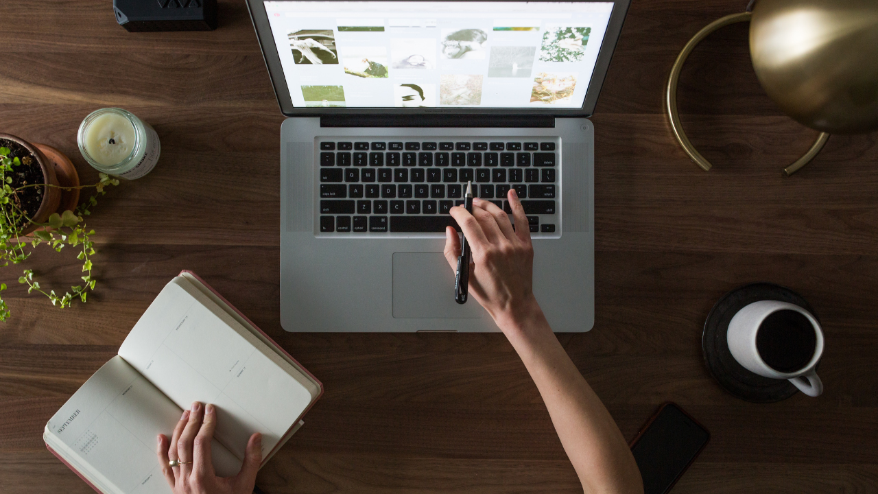 Beginner's guide to online success